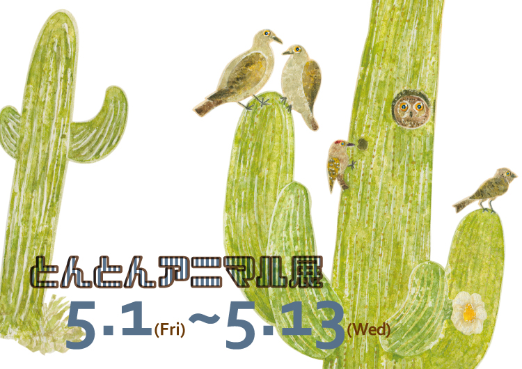 TONTON展覧会情報