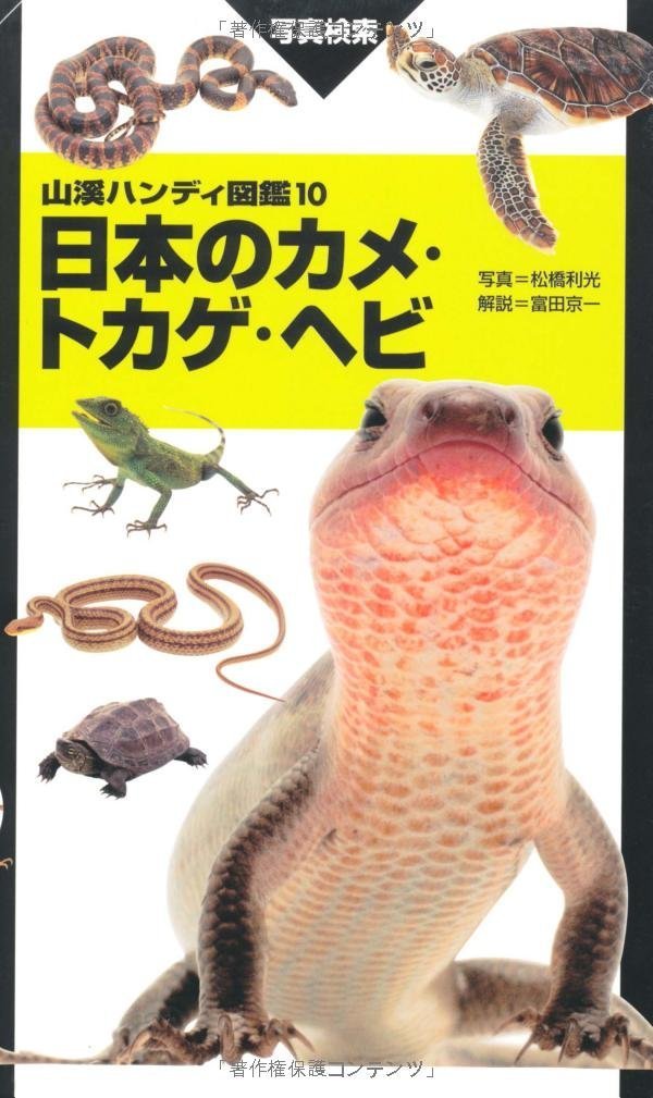 日本のカメ･トカゲ･ヘビ図鑑