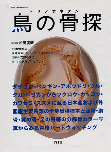 鳥の骨探