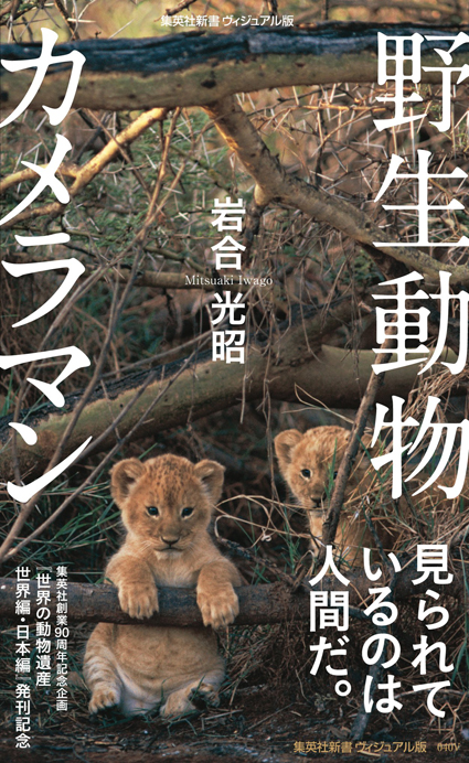 野生動物カメラマン