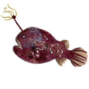 チョウチンアンコウ