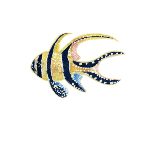 アマノガワテンジクダイ