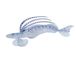 リュウグウベラギンポ></a></li>
<li><a href=