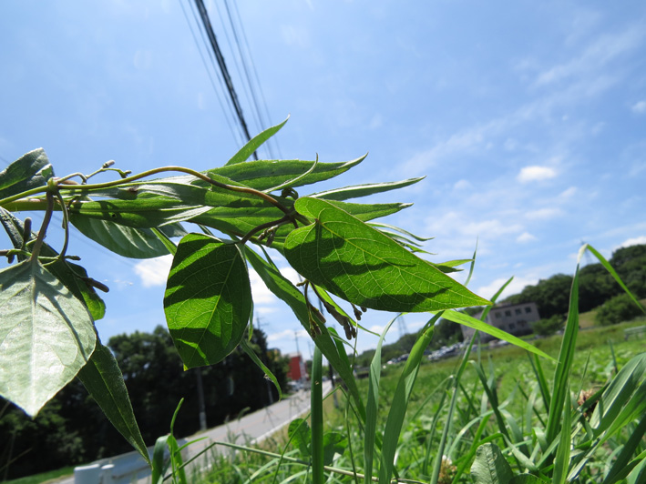 ちょっとにおう？