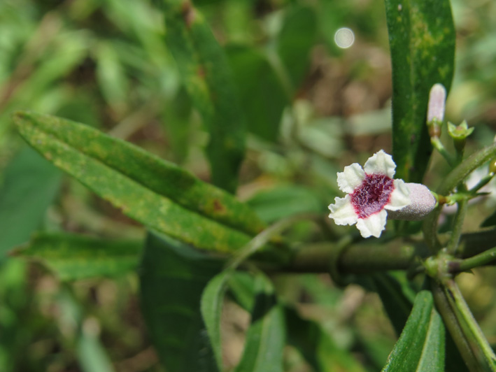 ちょっとにおう？